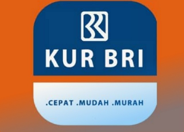 Berapa Lama Survey KUR BRI Setelah Pengajuan
